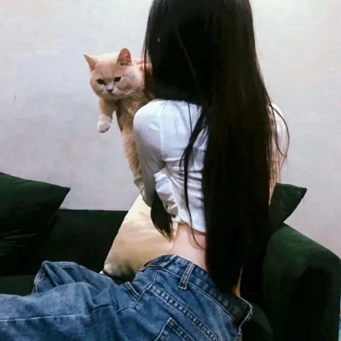 天地姻缘七仙女